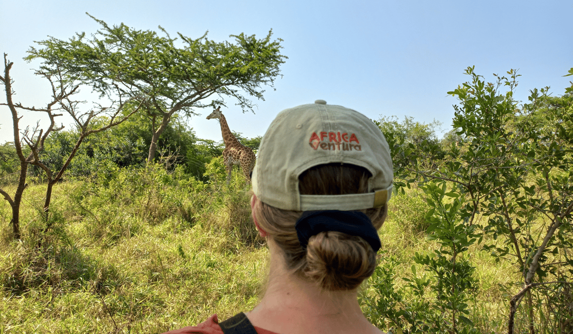 Safari en Afrique