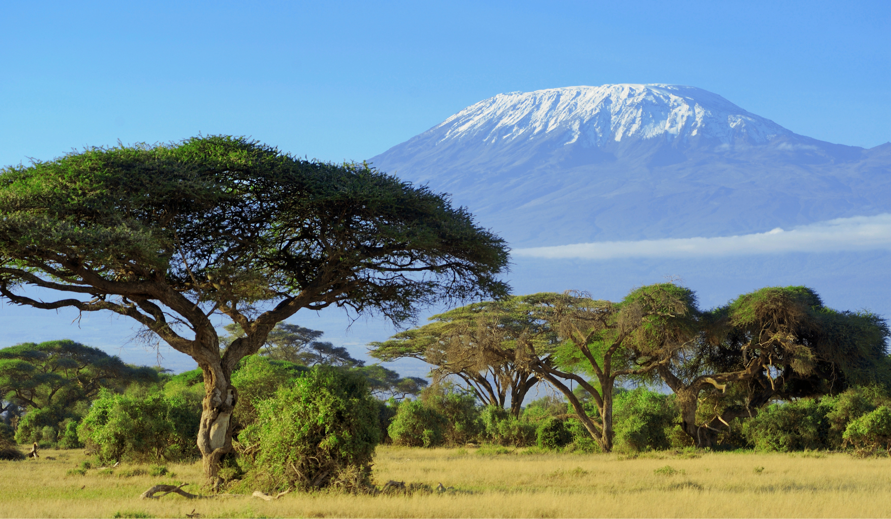 Mount Kilimanjaro