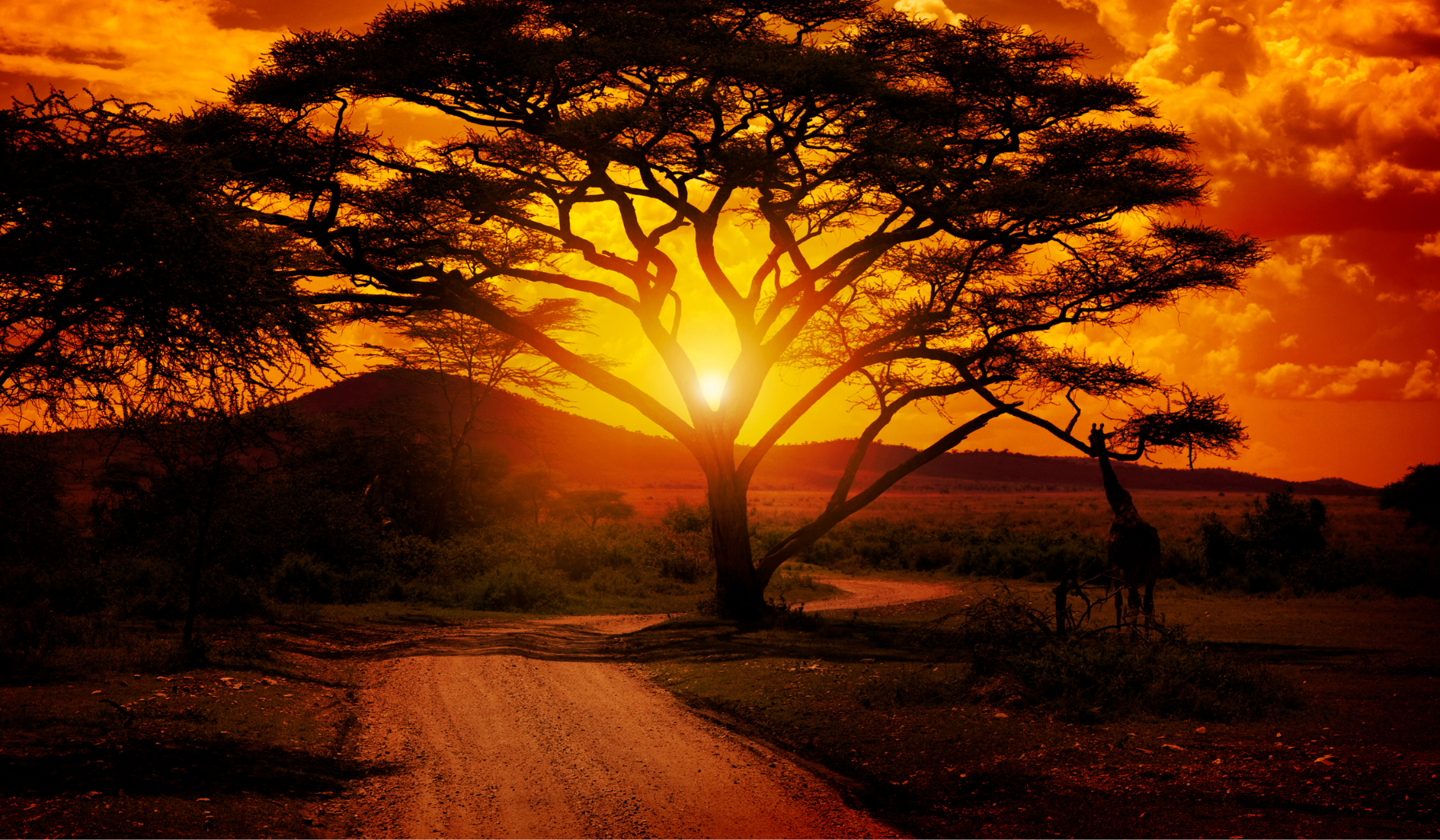 Sunset in Kenya 