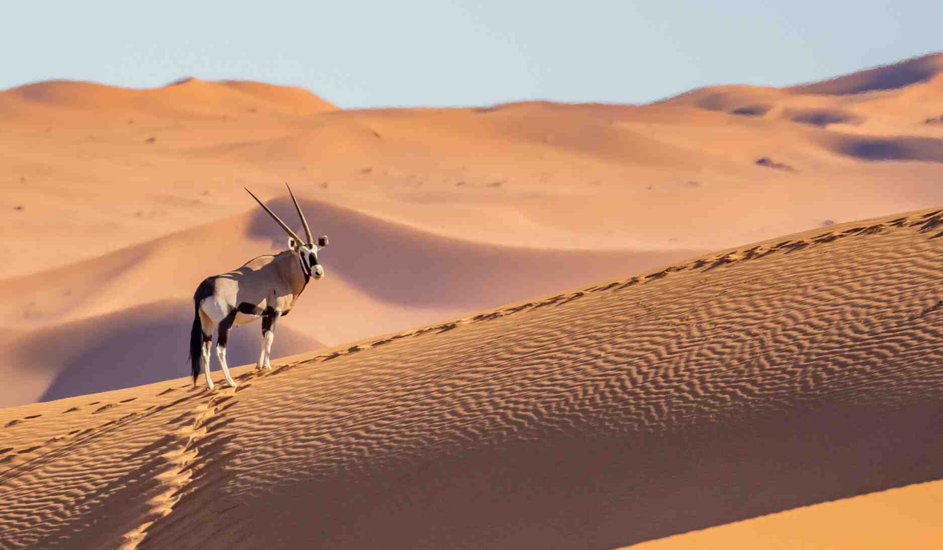 Sossusvlei-namibie