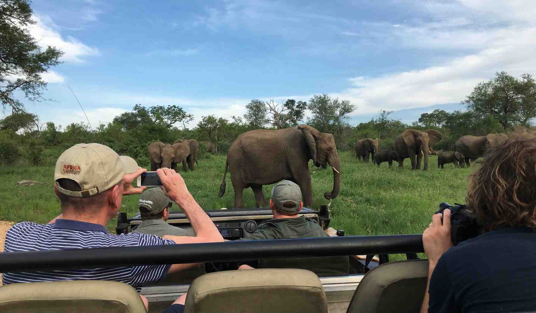 safari-en-afrique-du-sud