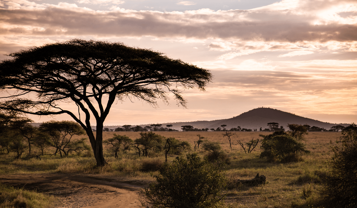 parc national Serengeti